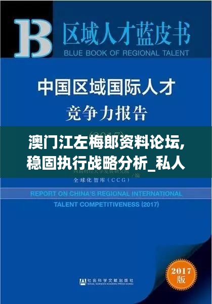 澳门江左梅郎资料论坛,稳固执行战略分析_私人版SSM9.5