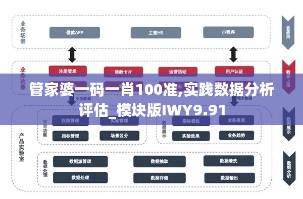 管家婆一码一肖100准,实践数据分析评估_模块版IWY9.91