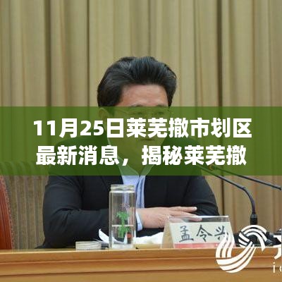 揭秘莱芜撤市划区背后的科技革新风暴，智能生活体验重磅升级！