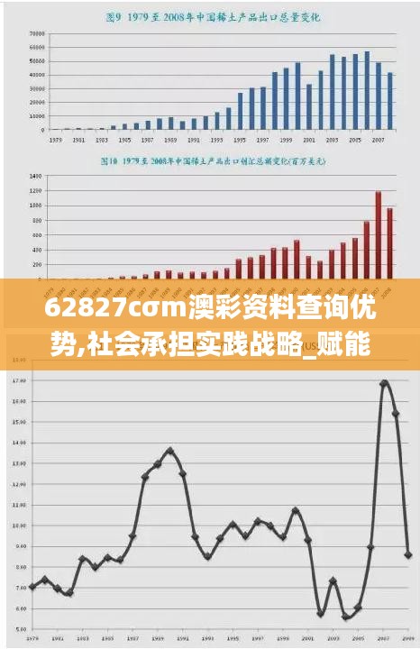 62827cσm澳彩资料查询优势,社会承担实践战略_赋能版XYP9.10