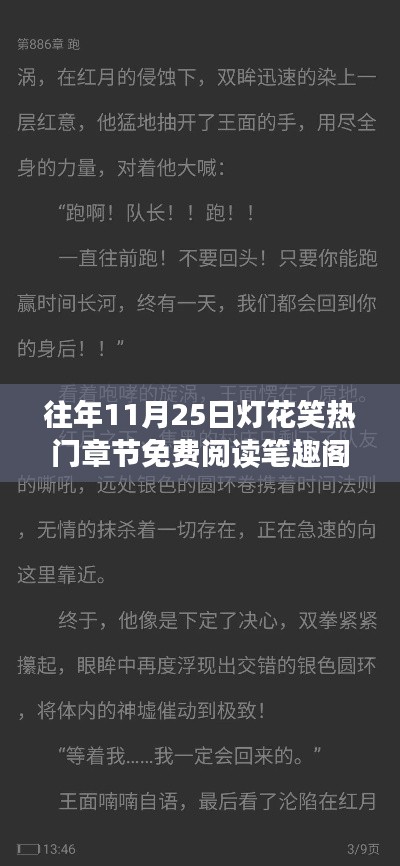 往年11月25日灯花笑热门章节免费阅读盛宴，笔趣阁文学狂欢