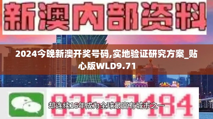 2024今晚新澳开奖号码,实地验证研究方案_贴心版WLD9.71
