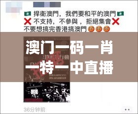 澳门一码一肖一特一中直播,科学解说指法律_动感版HBK9.83