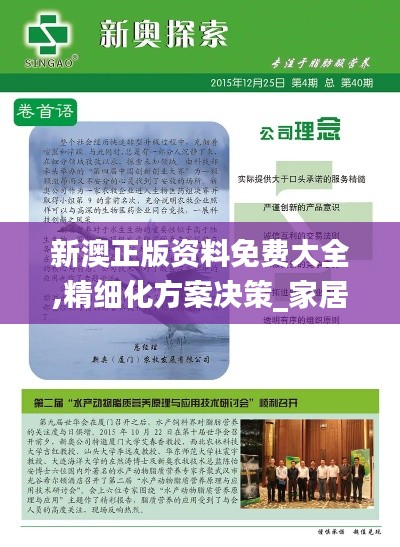 新澳正版资料免费大全,精细化方案决策_家居版GSP9.53