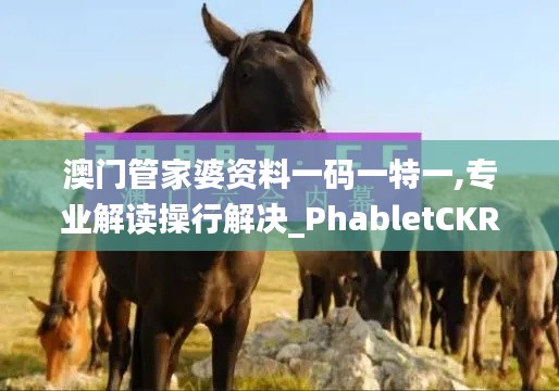 澳门管家婆资料一码一特一,专业解读操行解决_PhabletCKR9.11