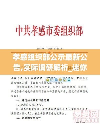 孝感组织部公示最新公告,实际调研解析_迷你版YSP9.42