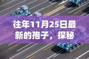 探秘孢子奇遇，隐藏版孢子专卖店神秘魅力揭秘
