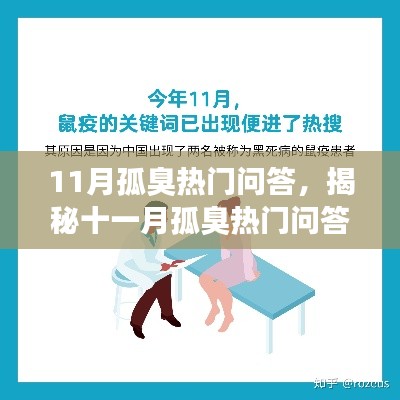 11月孤臭热门问答，揭秘十一月孤臭热门问答，成因、防治与应对之道