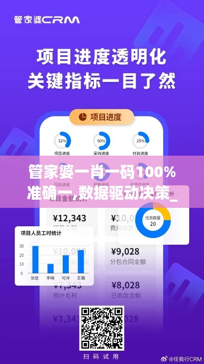 管家婆一肖一码100%准确一,数据驱动决策_发布版PMK9.91
