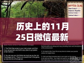 微信灰产下的神秘秘境，秘境探索与特色小店的探索之旅