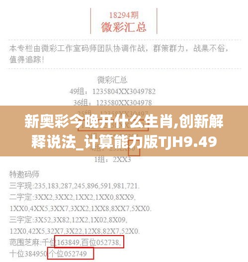 新奥彩今晚开什么生肖,创新解释说法_计算能力版TJH9.49