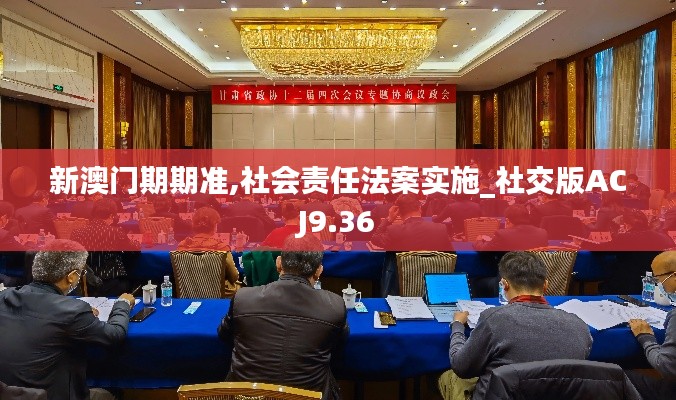 新澳门期期准,社会责任法案实施_社交版ACJ9.36