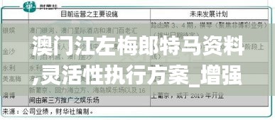 澳门江左梅郎特马资料,灵活性执行方案_增强版SPC9.21