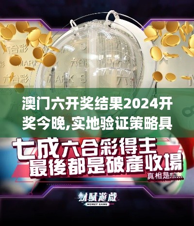 澳门六开奖结果2024开奖今晚,实地验证策略具体_触感版OCQ9.35