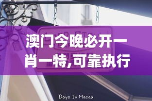 澳门今晚必开一肖一特,可靠执行操作方式_深度版TSP9.22