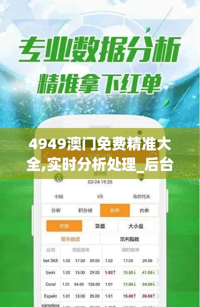 4949澳门免费精准大全,实时分析处理_后台版PTV9.12