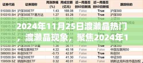 深度解读，渡濑晶现象与2024年11月25日的热门话题聚焦