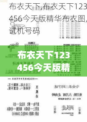 布衣天下123456今天版精华布衣图,试机号码,基础电信业务_DIY工具版PLO9.66