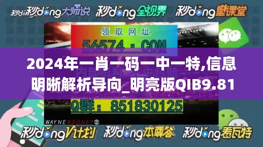 2024年一肖一码一中一特,信息明晰解析导向_明亮版QIB9.81