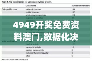 4949开奖免费资料澳门,数据化决策分析_高级版VAN9.45