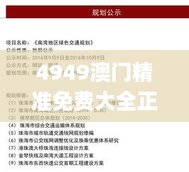 4949澳门精准免费大全正版,全方位操作计划_创新版CLX9.92