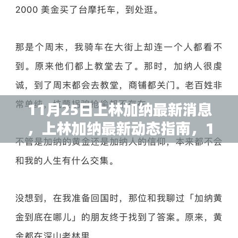 11月25日上林加纳最新动态及行动指南，关键信息与步骤全解析