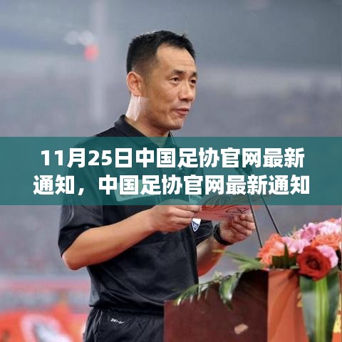 中国足协官网最新通知深度解读，聚焦产品特性、用户体验与目标用户分析
