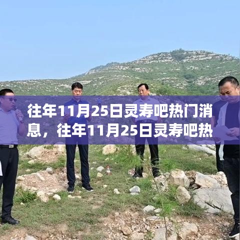 往年11月25日灵寿吧热门消息回顾，引人关注的事件盘点