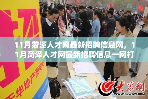 11月菏泽人才网最新招聘信息汇总，求职者的福音