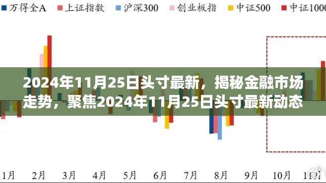 揭秘金融市场走势，聚焦最新头寸动态（2024年11月25日）