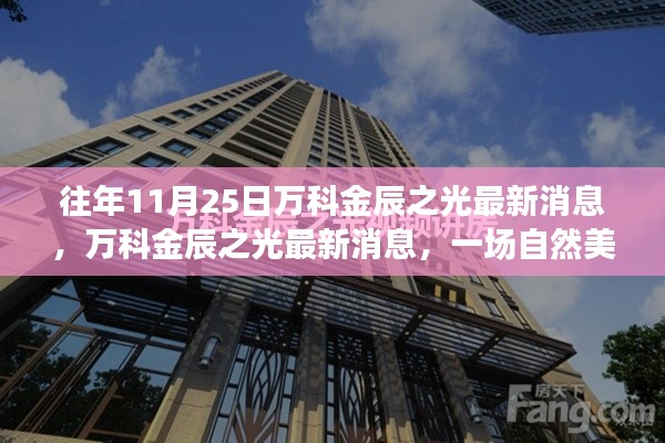 还朴反古 第4页