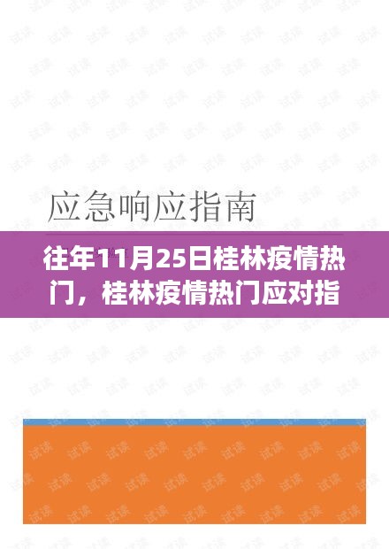 往年11月25日桂林疫情热点及应对指南，有效防护与应对方法全解析