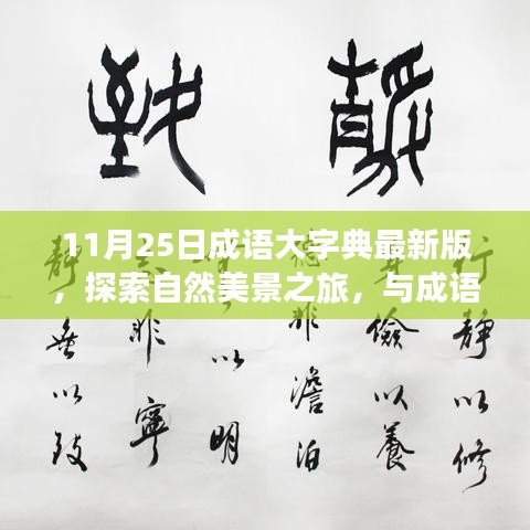 成语大字典最新版，自然美景的心灵之旅探索