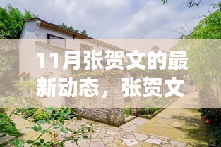 张贺文11月与自然美景的邂逅，寻找内心平和的旅程