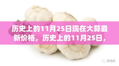 历史上的11月25日现在大蒜最新价格，历史上的11月25日，大蒜价格变迁与心灵之旅
