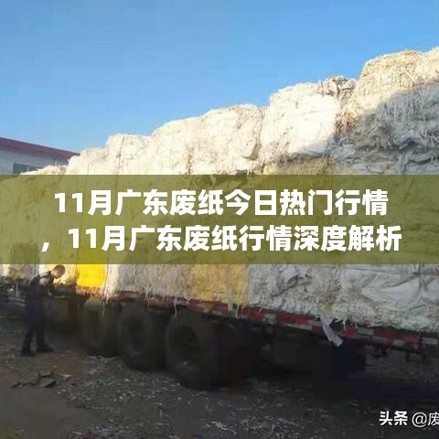 广东废纸行情解析，深度探讨市场动态与特性体验体验报告