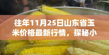 山东省玉米市场最新行情揭秘，小巷深处的玉米情缘与独特小店的奇妙故事