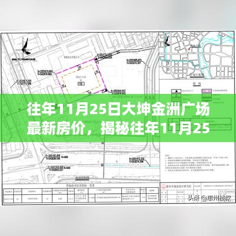 揭秘，大坤金洲广场历年11月25日最新房价走势分析