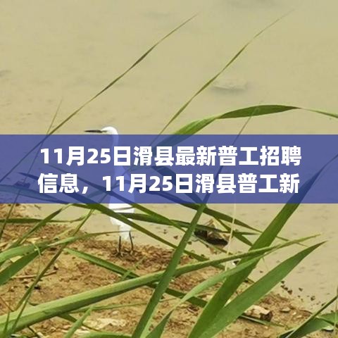 11月25日滑县普工最新招聘信息，与自然共舞，启程宁静职场之旅