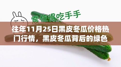 黑皮冬瓜行情揭秘，绿色之旅与心灵平静的奇妙探索