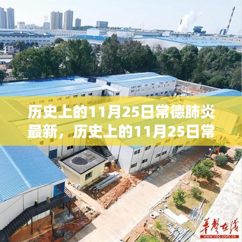 历史上的11月25日常德肺炎事件深度解析，影响与启示探讨