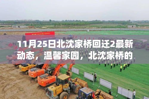 北沈家桥回迁新篇章，温馨家园的日常故事与友情、家庭的陪伴之路（最新动态）