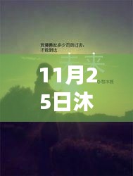 飞鸟依人 第5页