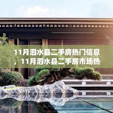 泗水县二手房市场热门信息解析（11月版）