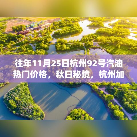 秋日秘境揭秘，杭州历年11月油价趋势与心灵之旅的双重惊喜——杭州汽油价格回顾与加油体验之旅