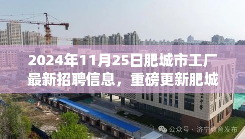 2024年肥城市工厂最新招聘信息解析，求职者福音，招聘信息重磅更新