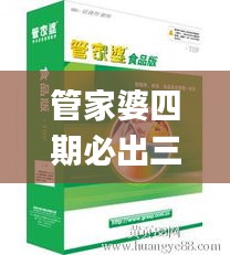管家婆四期必出三期资料,设计规划引导方式_外观版UMB7.73