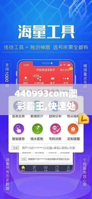 440993com澳彩霸王,快速处理计划_动感版HXM7.77