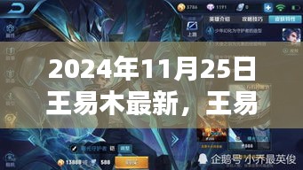 王易木最新动态多维度视角分析，2024年11月25日的观察与观点