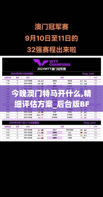 今晚澳门特马开什么,精细评估方案_后台版BFD7.40